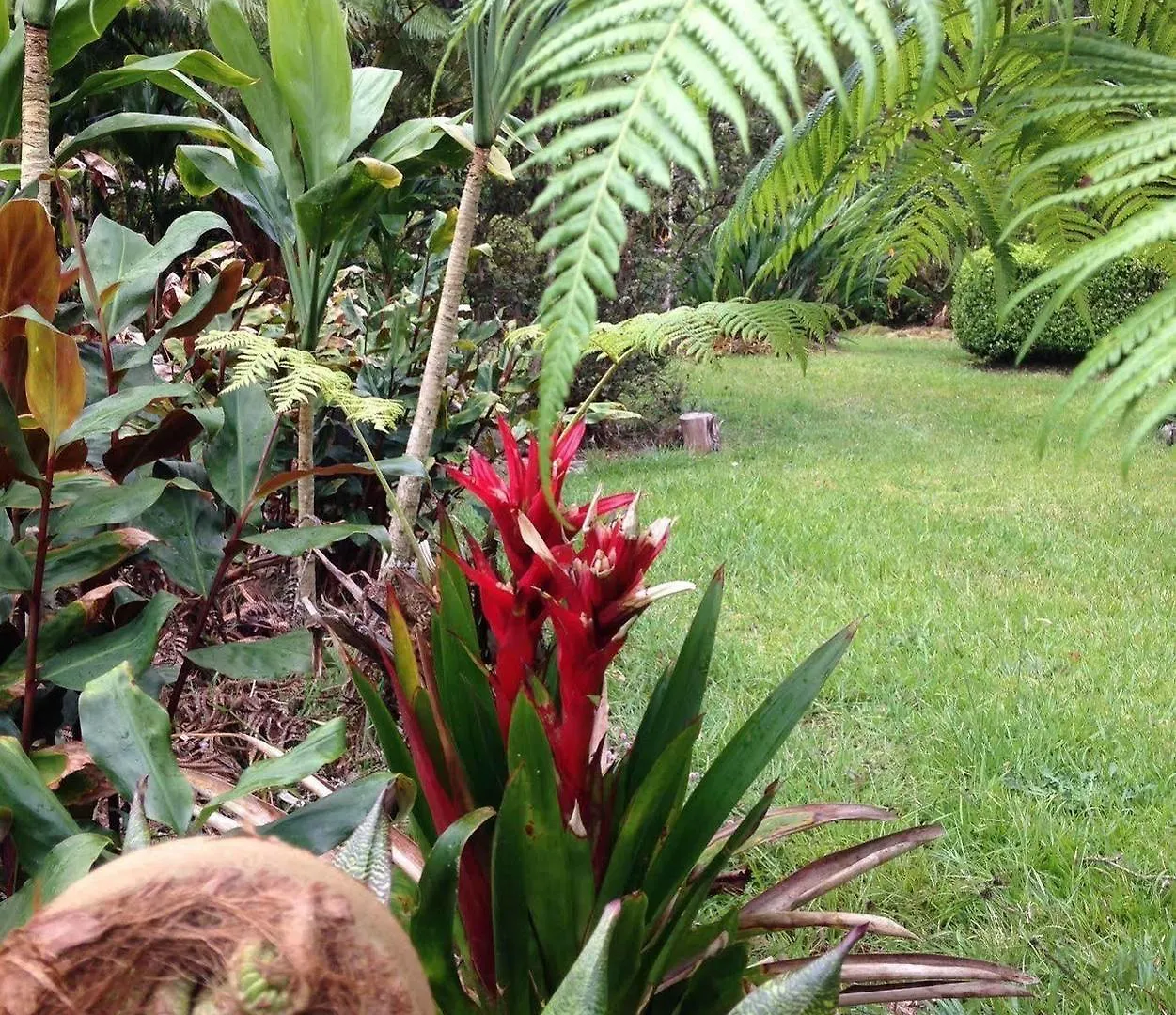 Bed & Breakfast Aloha Happy Place Volcano